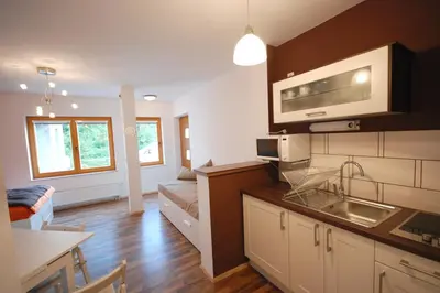 a kitchen and living room with a sink and a couch at Apartment Visak in Bled