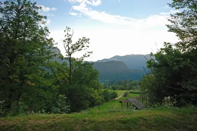 a view of a hill with trees and a road at Apartment Visak in Bled