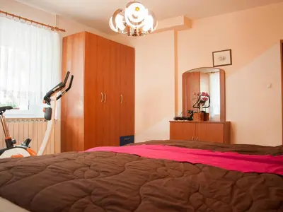 Gallery image of Apartments and rooms Nataša 1 in Trenta