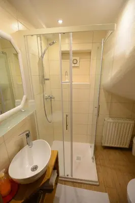 a bathroom with a shower and a sink at Apartmaji Zupančič in Bohinj