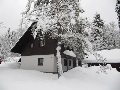 a house covered in snow next to a tree at Apartmaji Zupančič in Bohinj