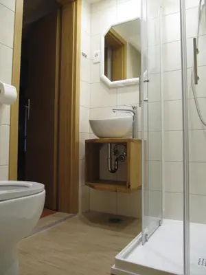 a bathroom with a sink and a toilet at Apartmaji Zupančič in Bohinj