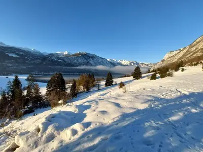 a snow covered hill with trees and mountains in the background at Apartmaji Vesna in Bohinj