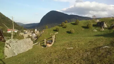 a grassy hill with a small town on it at Apartmaji Vesna in Bohinj