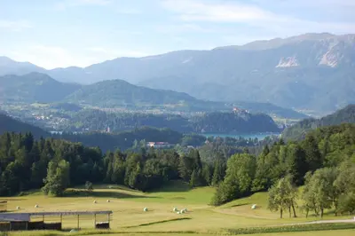 a green field with animals grazing in the mountains at Chalet ApArt Kupljenik 12 A, Bled in Bohinjska Bela