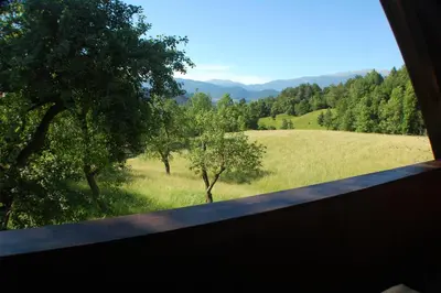 a view from a window of a field with trees at Chalet ApArt Kupljenik 12 A, Bled in Bohinjska Bela