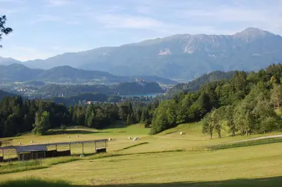 a grassy field with animals grazing in the mountains at Chalet ApArt Kupljenik 12 A, Bled in Bohinjska Bela