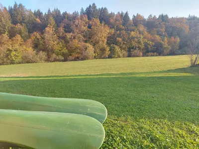 a green field with trees in the background at Lahinja & Kolpa river apartments in Metlika