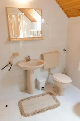 a bathroom with a sink and a toilet and a mirror at Apartment pri Damijanu in Ponikve