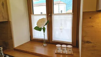 a vase with a flower sitting on a window sill at ecoHouse FURLAN - Apartment PINJA in Kobarid