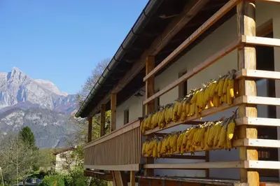 a building with many bunches of yellow bananas on it at ecoHouse FURLAN - Apartment PINJA in Kobarid