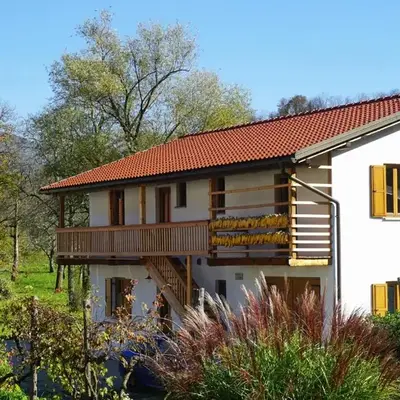 ecoHouse FURLAN - Apartment PINJA