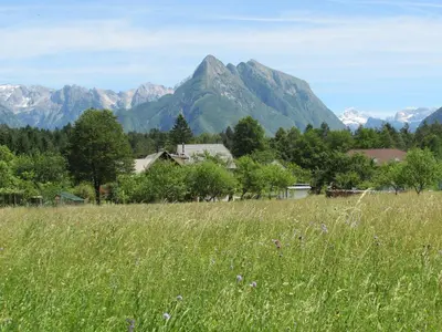 a field of tall grass with mountains in the background at Apartma Narnia in Bovec