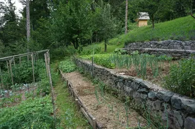a garden with a stone wall and some plants at Slabnik Nature Escape in Idrija