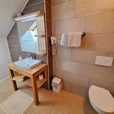 a bathroom with a sink and a toilet at Penzion Gostisce Lesjak in Orehova vas