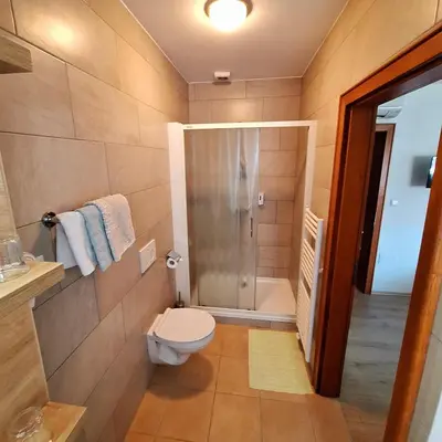 a bathroom with a shower and a toilet in it at Penzion Gostisce Lesjak in Orehova vas