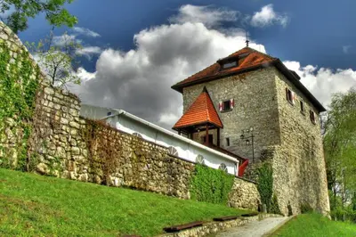 a large stone wall next to a building at Villa Aina Boutique Hotel in Laško