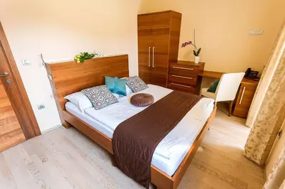 a bedroom with a bed and a desk in it at Villa Aina Boutique Hotel in Laško