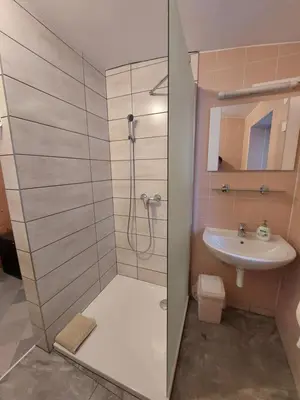 a bathroom with a shower and a sink at Apartment Carli-Jurč in Kobarid