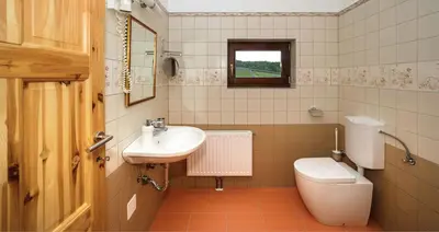 a bathroom with a sink and a toilet at Tourist Farm Mali Raj in Dolenci
