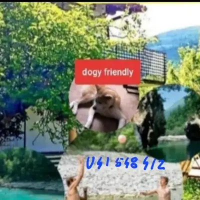 Apartma NADIŽA
