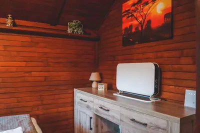 a room with a tv on a wooden wall at Lucky home in Čatež ob Savi
