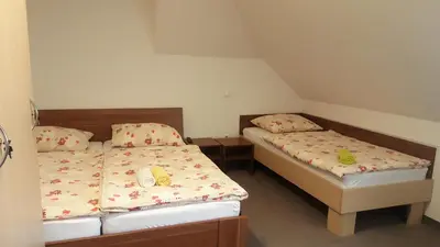 two twin beds in a small room at Hotel & Hostel Marenberg Radlje in Radlje ob Dravi