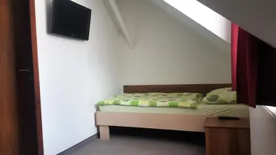 a bedroom with a bed with a tv on the wall at Hotel & Hostel Marenberg Radlje in Radlje ob Dravi