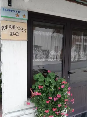 a store window with a pot of flowers and a sign at D-D in Bovec