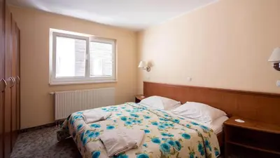 a hotel room with a bed and a window at Terme Olimia - Aparthotel Rosa in Podčetrtek