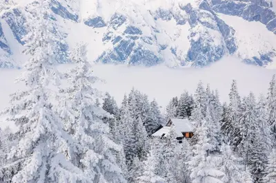 a cabin in the snow in front of a snow covered mountain at Koča Bistra - Velika planina in Stahovica