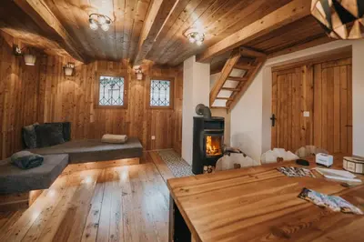 a living room with wooden walls and a wood stove at Koča Bistra - Velika planina in Stahovica
