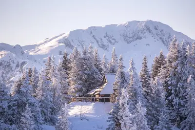 a cabin in the mountains with snow covered trees at Koča Bistra - Velika planina in Stahovica