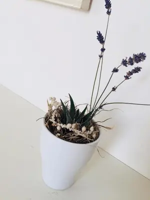 a plant in a white vase on a wall at Apartment Story in Kranjska Gora
