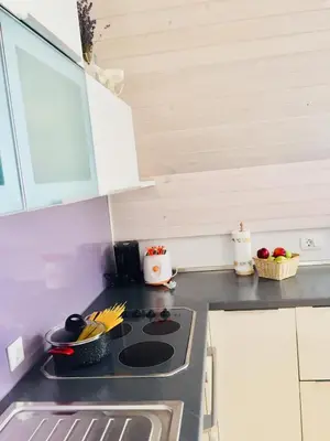 a kitchen with a stove top oven next to a counter at Apartment Story in Kranjska Gora