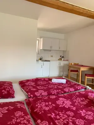 a bedroom with a large bed with pink blankets at Bright Side Studios in Ljubljana