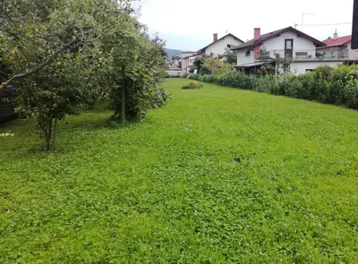 a grassy yard with an apple tree and houses at Bright Side Studios in Ljubljana
