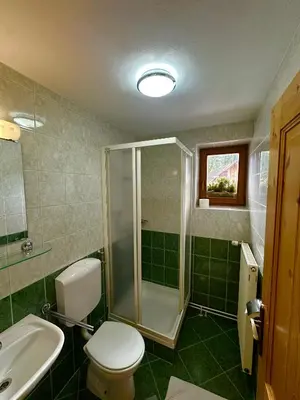 a bathroom with a shower and a toilet and a sink at Kmetija Matk in Solčava
