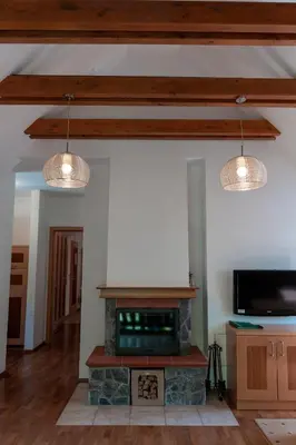 a living room with a fireplace and two lights at Luxury Apartments Bolf in Pohorje