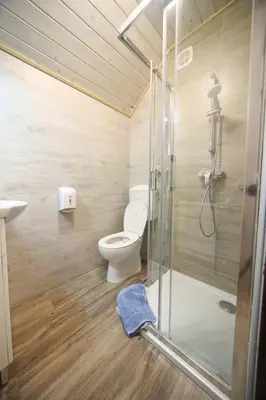 a bathroom with a toilet and a glass shower at PLANINSKA KOČA NA GOZDU in Kranjska Gora