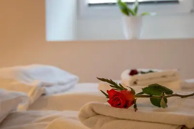 a rose sitting on top of a towel on a sink at Apartment Pod velbi in Ljubljana