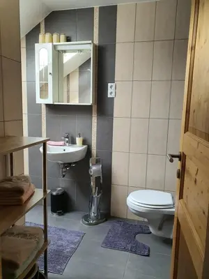 a bathroom with a toilet and a sink at Apartmaji Daniel in Kranjska Gora