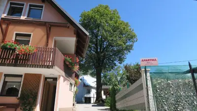 a house with a sign in front of it at Apartment Bruna Vučič in Bovec