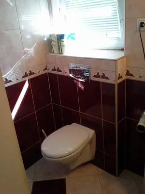a small bathroom with a toilet and a window at Apartma Pr' Vok in Lesce