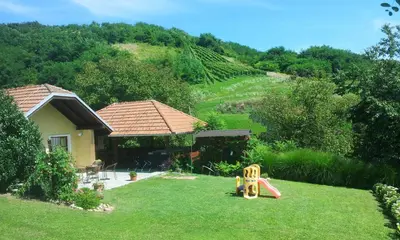 a backyard with a house and a slide in the grass at Apartment Feher Lendava in Lendava