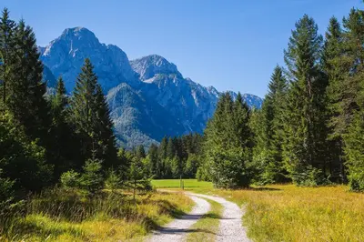 a dirt road in a field with mountains in the background at Počitniška hiša Radovna in Zgornja Radovna