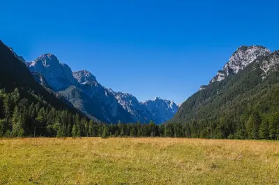 a grassy field with mountains in the background at Počitniška hiša Radovna in Zgornja Radovna