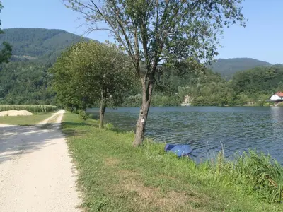 a dirt road next to a lake with a tree at Ribiški dom Radeče in Radeče