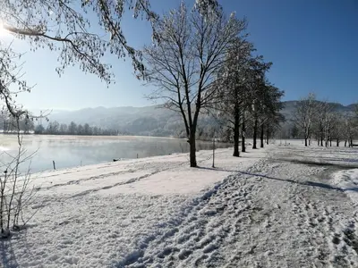 a snow covered field with trees and a body of water at Ribiški dom Radeče in Radeče