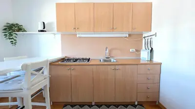 a small kitchen with wooden cabinets and a sink at Apartments Peter & Free parking in Ljubljana